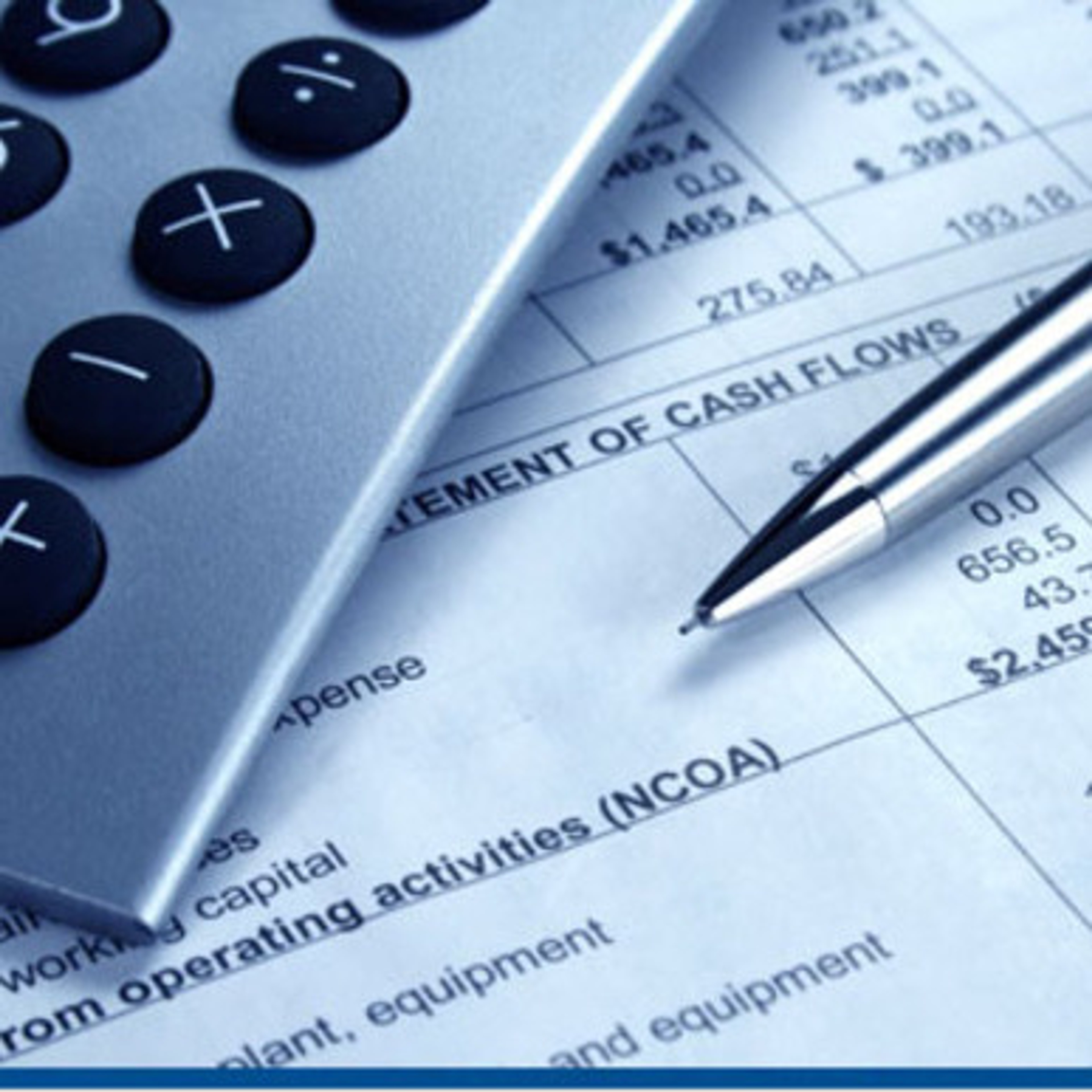 Accounting Bookkkeeping and Business Consulting Services
