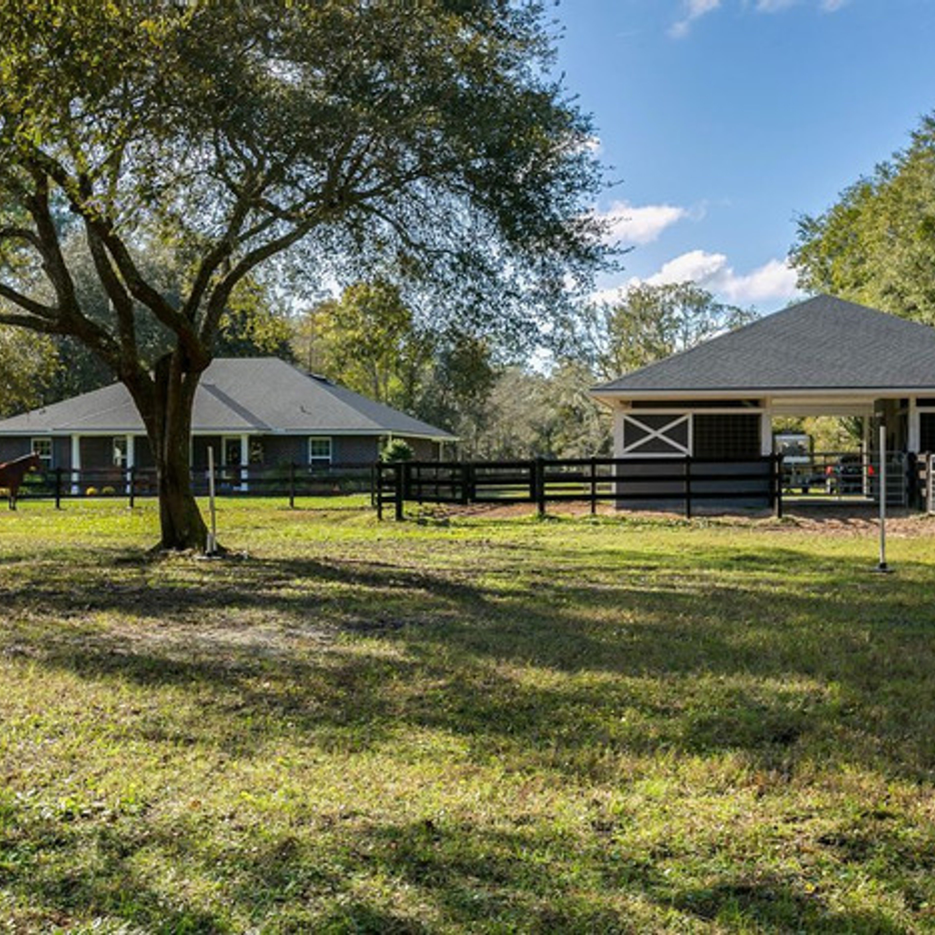 House Sitter in NE Jacksonville, FL needed for Oct - Must know dogs, cats, and horsemanship