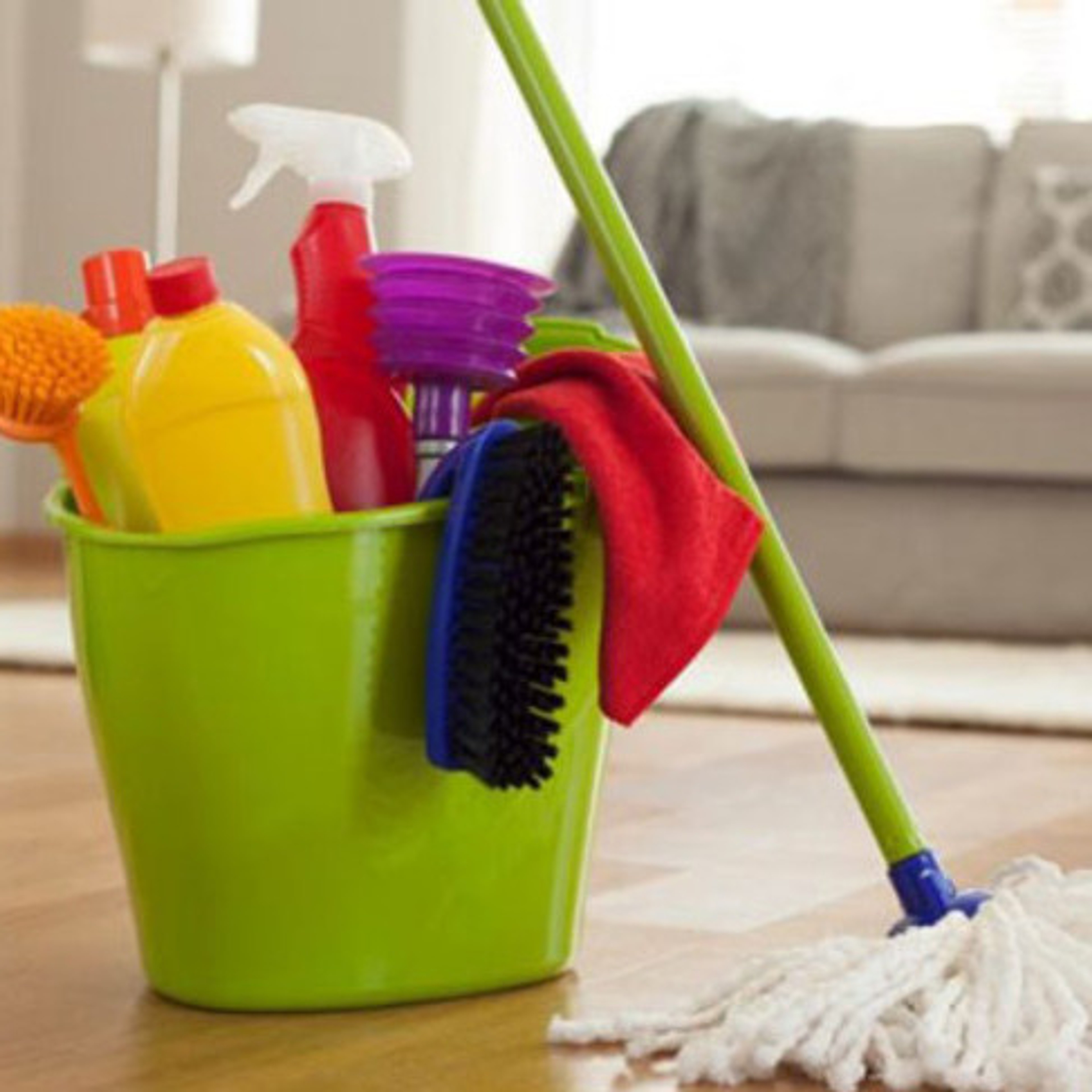 For Hire: Loving Housecleaner in Mc Minnville, Tennessee
