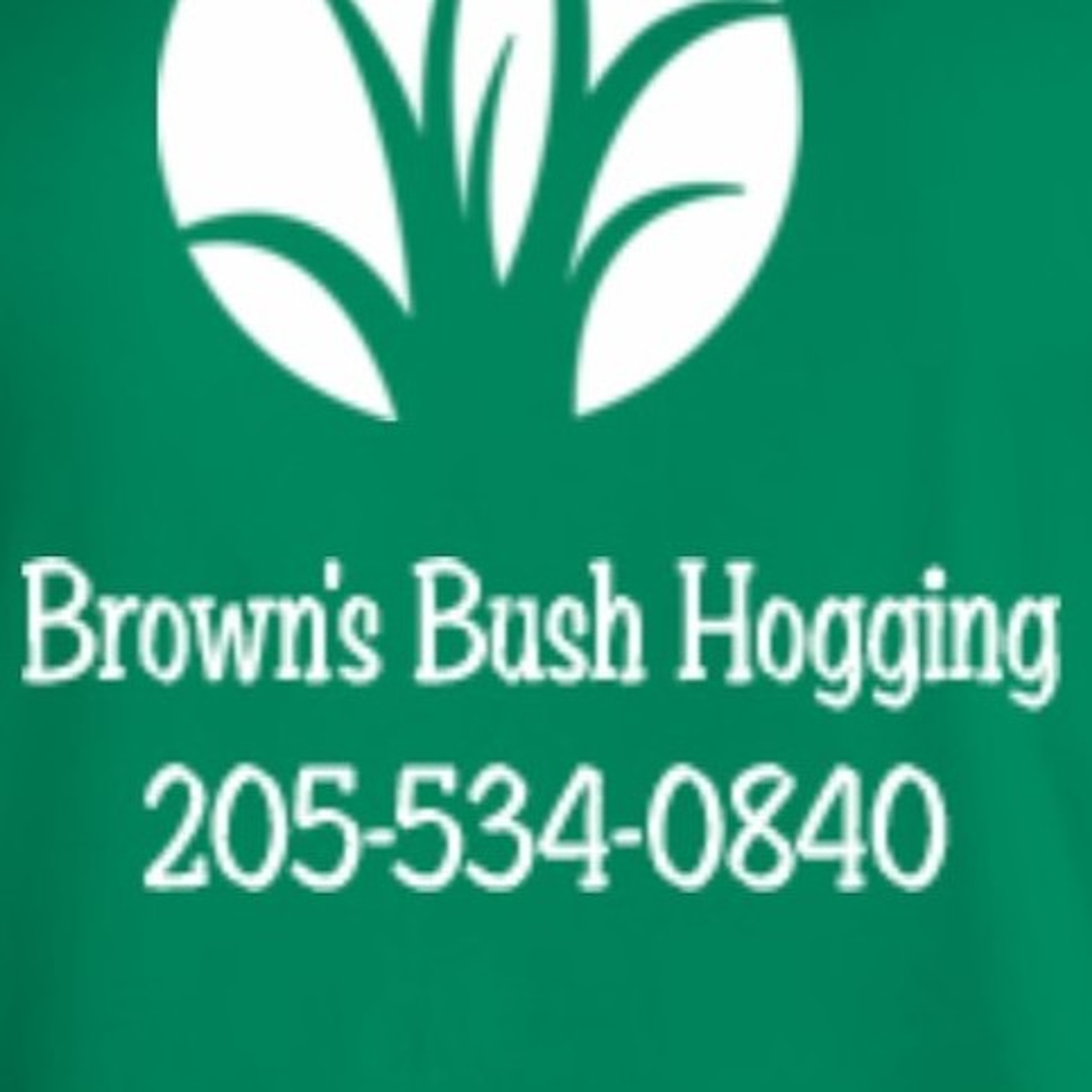 Browns bush hogging &lawn service