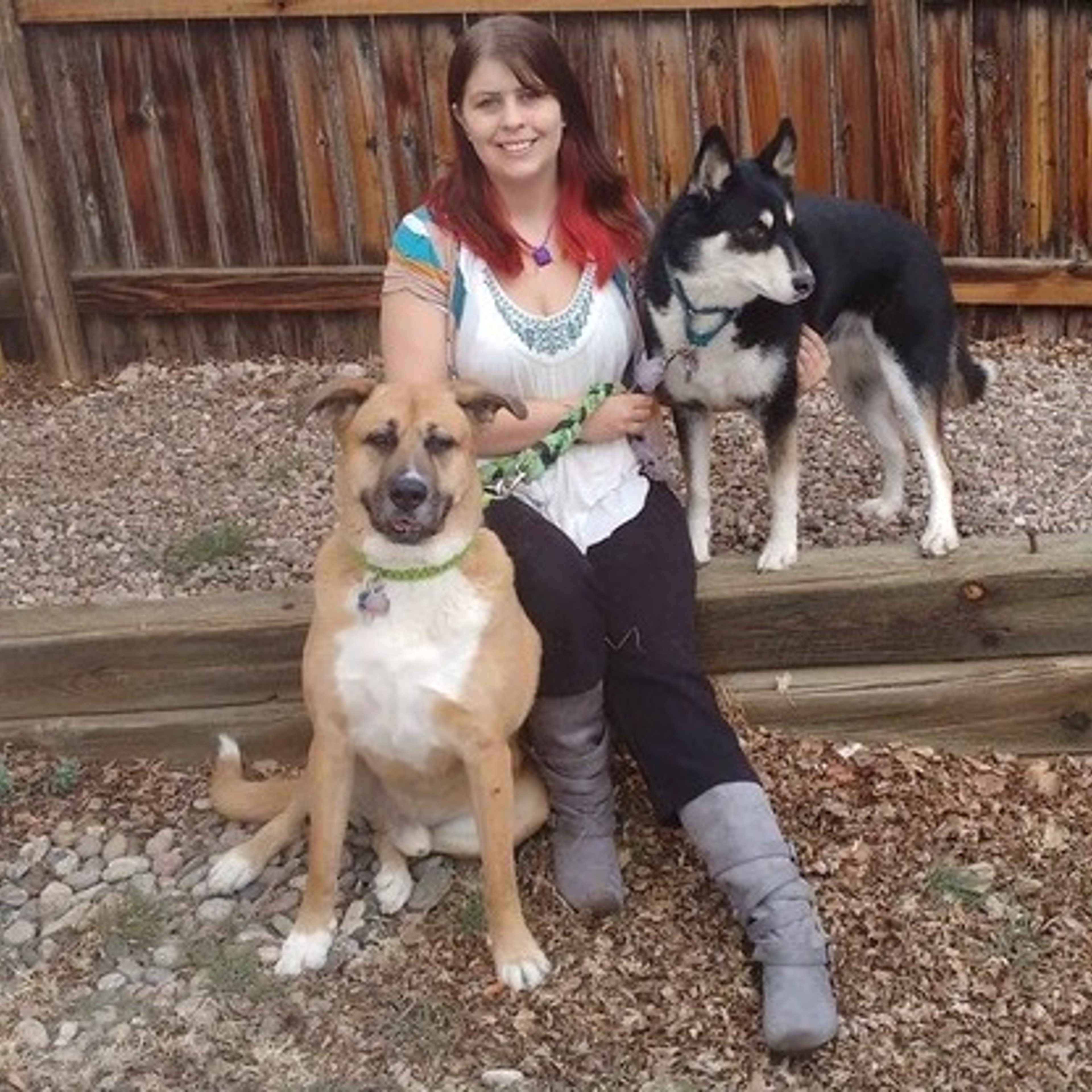 Colorado Springs Certified Positive reinforcement dog trainer offering pet services, turn animal lover with tons of experienc