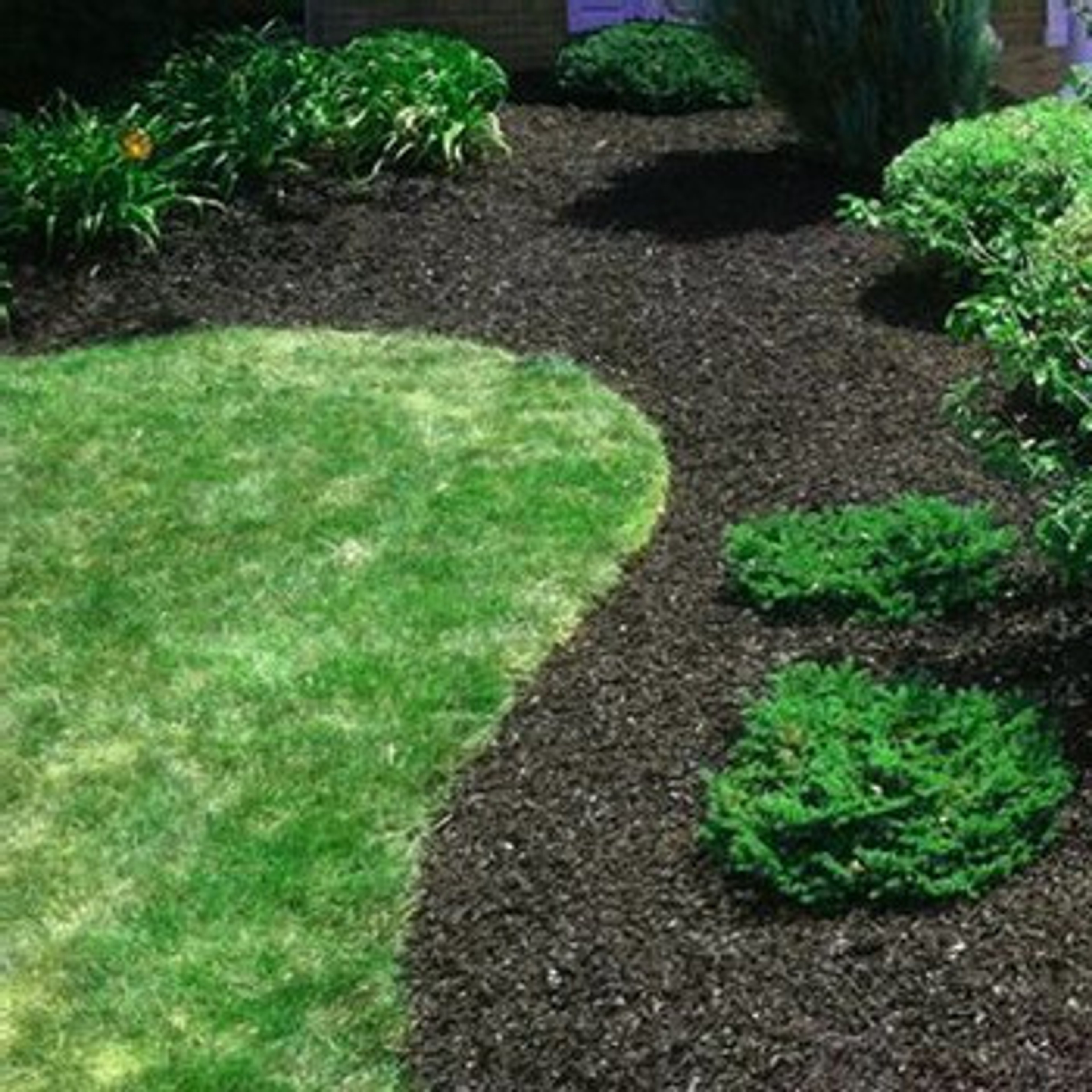 Georgetown Landscaping and Tree Care Services