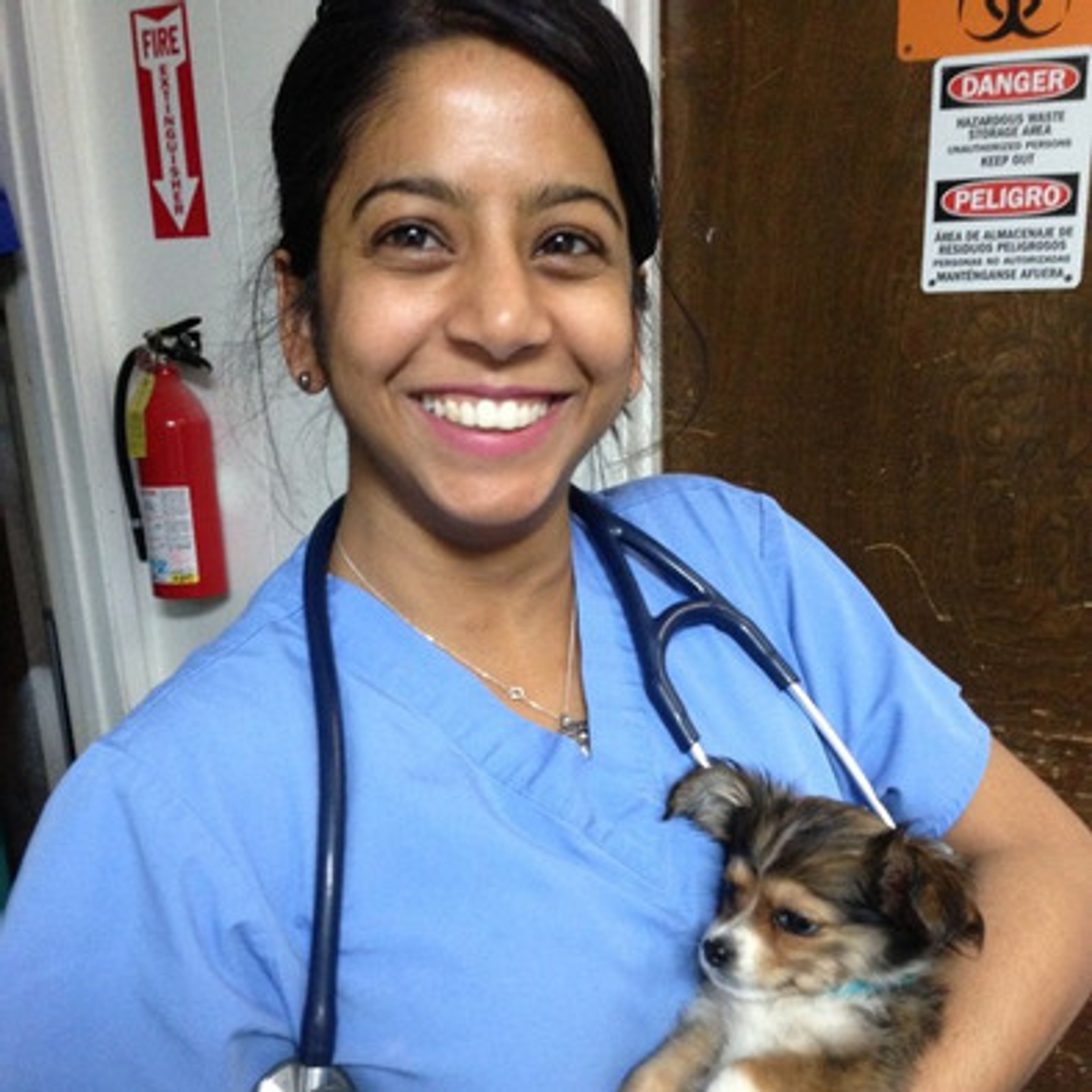 Veterinarian who would love to care for your home and pets