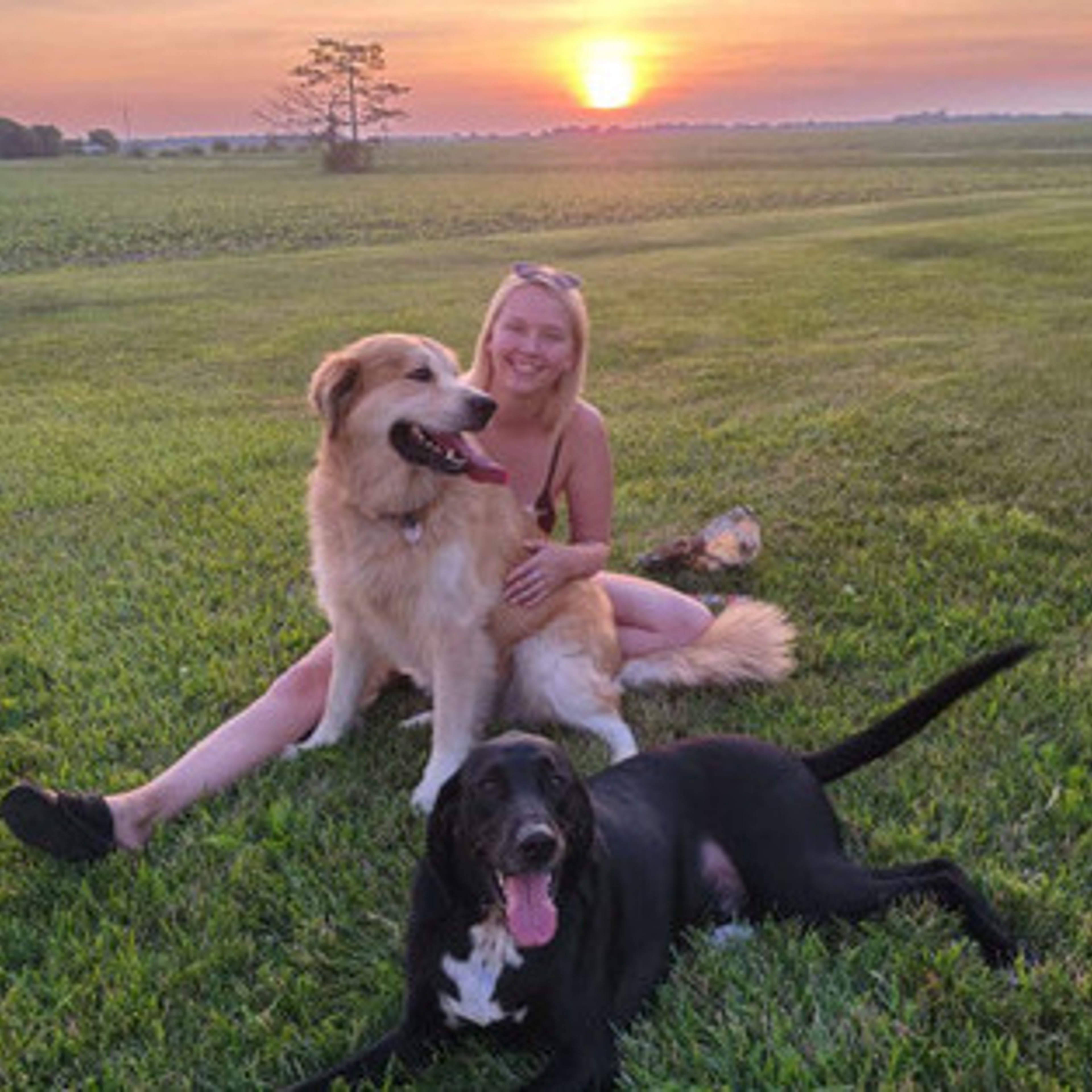 Hello! I am reliable pet sitter who loves all animals as they are my own. I’ve been in this business for about 3 years!