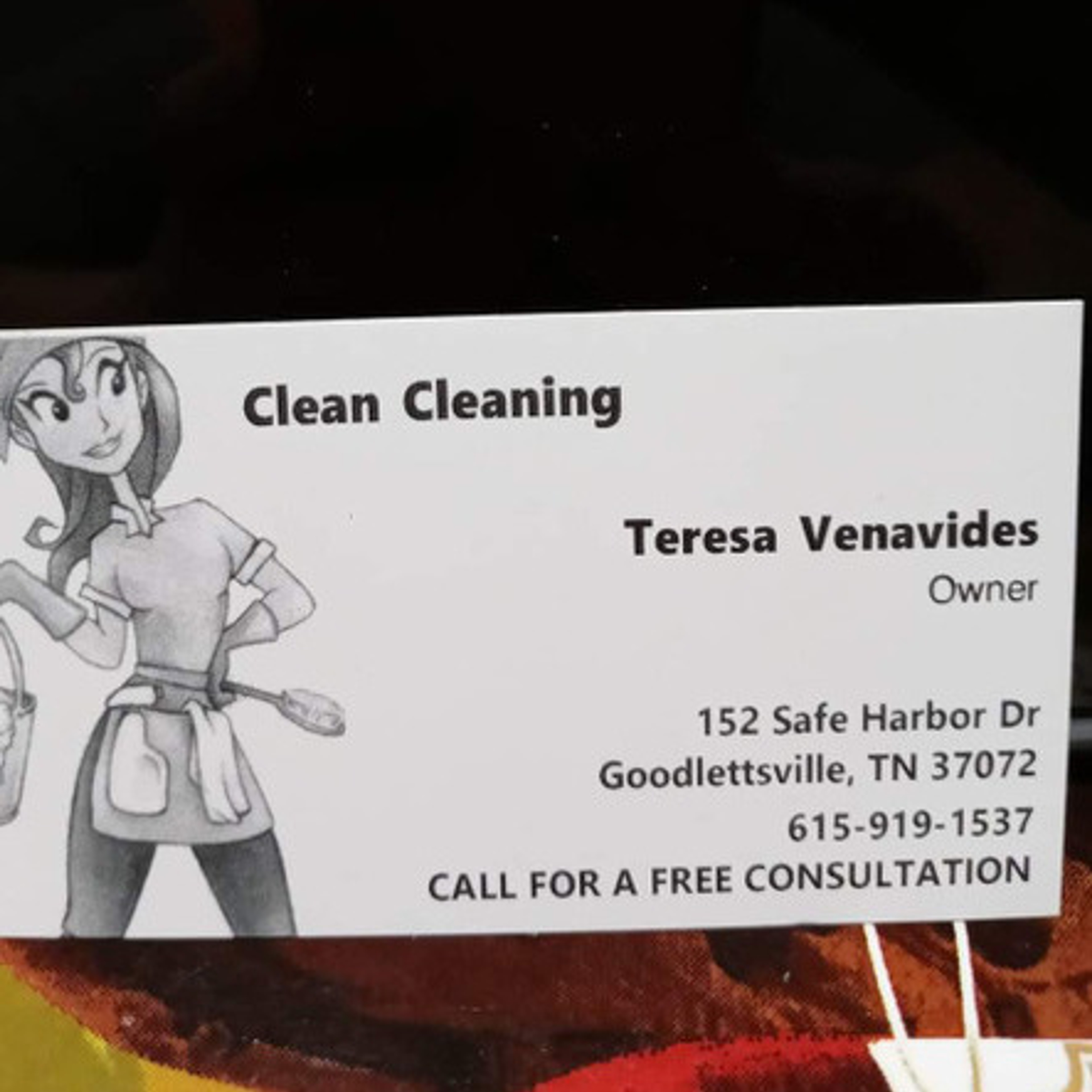Knowledgeable Housecleaner in Madison